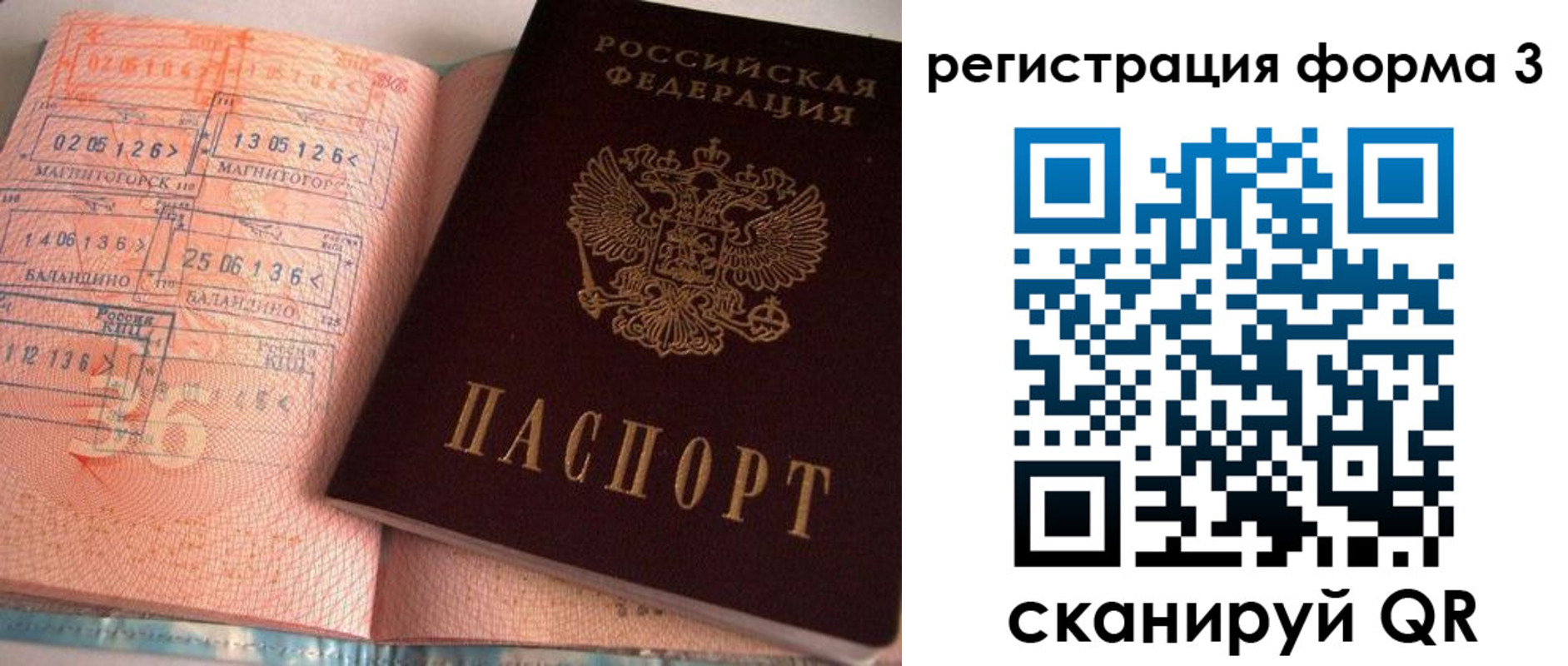 временная регистрация поиск в Курской области